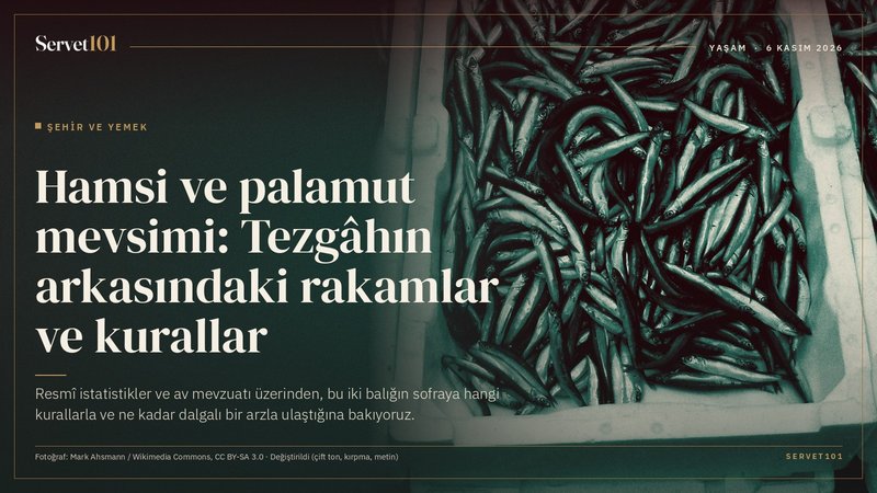 Hamsi ve palamut mevsimi: Tezgâhın arkasındaki rakamlar ve kurallar
